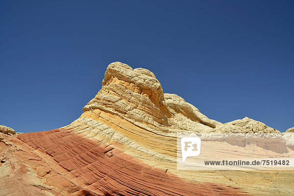 Lollipop Rock  Brainrocks der White Pocket  erodierte Navajo-Sandsteinfelsen mit Liesegang Bands  auch Liesegangen Rings oder Liesegang Rings  Pareah Paria Plateau  Vermilion Cliffs National Monument  Arizona  Utah  Südwesten  Vereinigte Staaten von Amerika  USA
