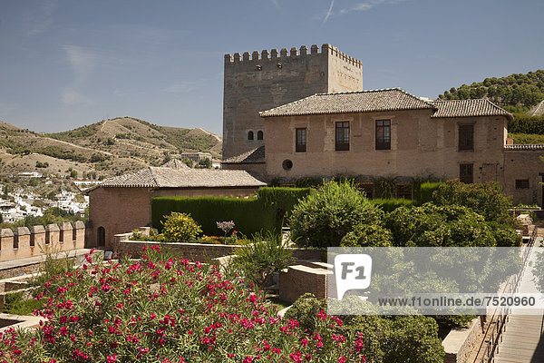 Alcazaba der Alhambra  UNESCO Welterbestätte  Granada  Andalusien  Spanien  Europa