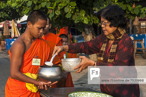Morning alms round  a young Buddhist monk from a monastery school holding a begging bowl  receiving rice or offerings from an older woman  Sukhothai Province  Northern Thailand  Thailand  Asia
