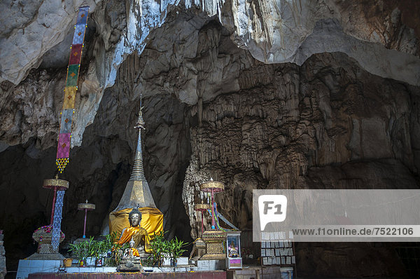 Wat Tham Pla temple or Monkey Cave temple Mae Sai region Chiang Rai province northern Thailand Thailand Asia