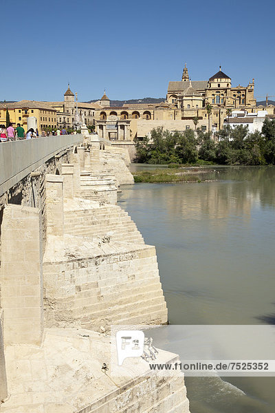 View of the bridge gate and the Mezquita  Mosque?Cathedral of CÛrdoba  now a cathedral  formerly a mosque  as seen from the Roman bridge  Cordoba  Andalusia  Spain  Europe  PublicGround