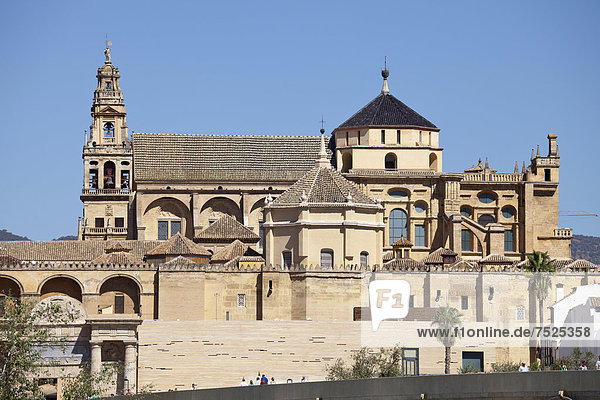 Mezquita  Mosque?Cathedral of CÛrdoba  now a cathedral  formerly a mosque  Cordoba  Andalusia  Spain  Europe  PublicGround