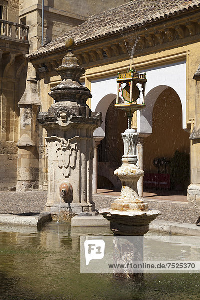 Brunnen im Innenhof der Kathedrale  ehemalige Moschee Mezquita  Cordoba  Andalusien  Spanien  Europa