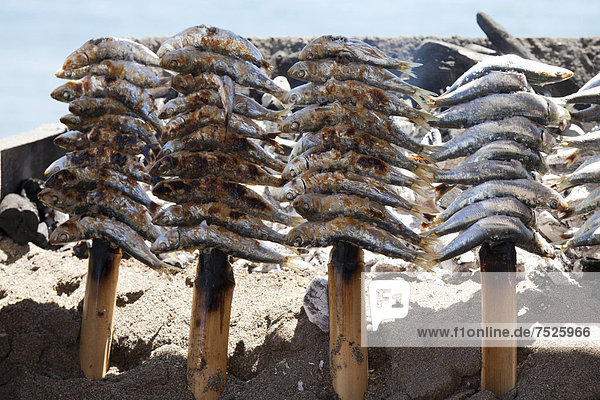 Stockfisch wird auf offener Feuerstelle gebraten  Playa de Santa Ana  Benalmadena  Provinz Malaga  Costa del Sol  Andalusien  Spanien  Europa  ÖffentlicherGrund