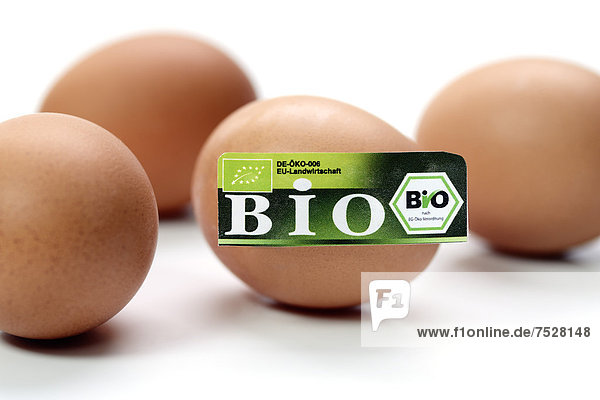 Hühnereier mit Bio-Siegel  Symbolfoto