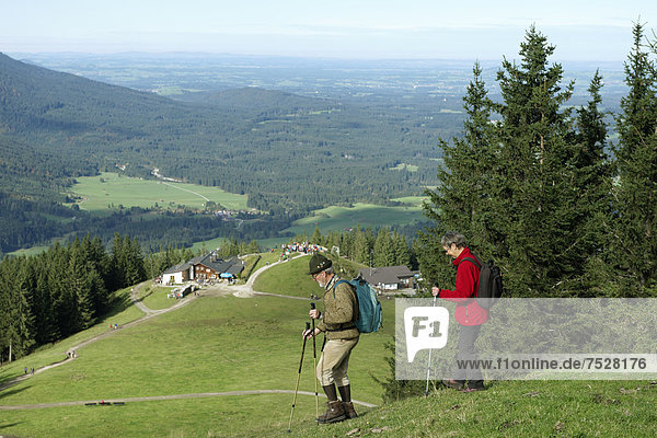 Hikers walking on a path from Mittleres Hoernle mountain to Lechrain  passing Hoernlehuette mountain cabin  Ammergau Alps  Upper Bavaria  Bavaria  Germany  Europe