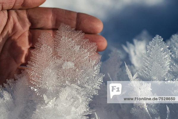 Eine Hand hält Eiskristalle  Portage  Alaska
