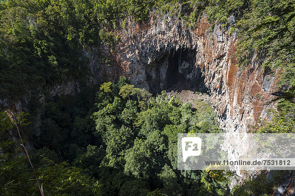 Höhle Spirit Well oder Nam Bua Phi  Dschungel  Bambuswald  Soppong oder Pang Mapha Umgebung  Mae Hong Son Provinz  Nordthailand  Thailand  Asien