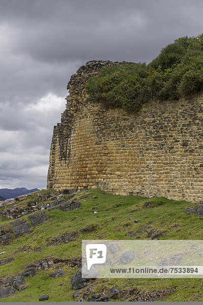 Mauern der Festung Kuelap bei Tingo  Chachapoyas  Amazonas  Peru  Südamerika