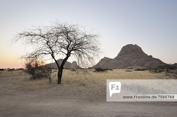 Savannah landscape with rock formations  Great Spitzkoppe and Pontok Mountains  Great Spitzkoppe Nature Reserve  Namibia  Africa