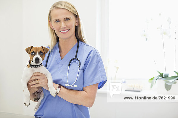 Veterinarian holding dog in vet's surgery
