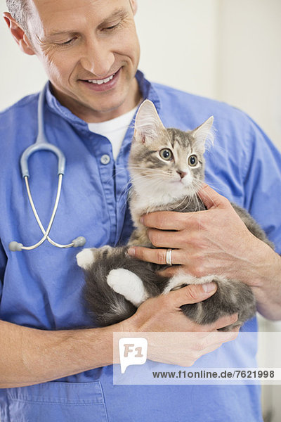 Tierarzt in der Tierarztpraxis