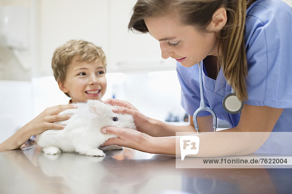 Tierarzt untersucht Kaninchen mit Junge