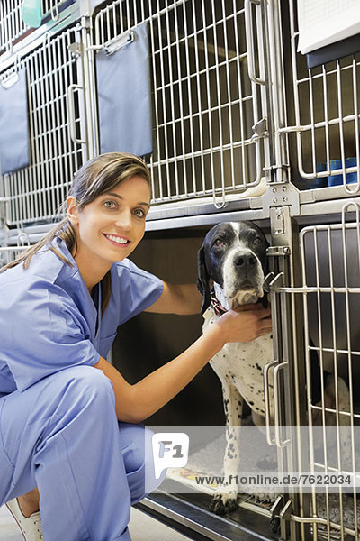 Lächelnder Tierarzt platziert Hund im Zwinger