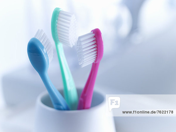 Close up of toothbrushes in holder