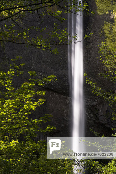 Wasserfall in grüner ländlicher Landschaft