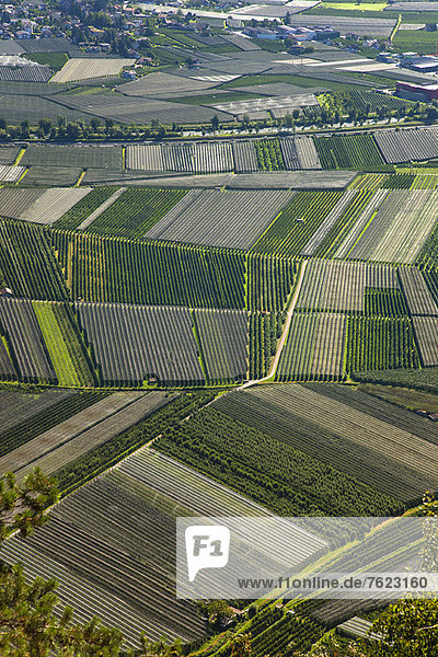 Luftaufnahme der Getreidefelder