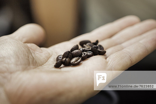 Close up of hand holding coffee beans
