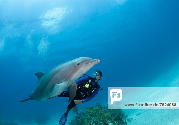 Diver with dolphin