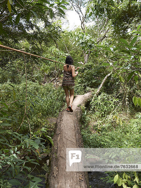 Woman balancing on a tree trunk  Las Pailas  RicÚn de la Vieja National Park  Province of Guanacaste  Costa Rica  Central America