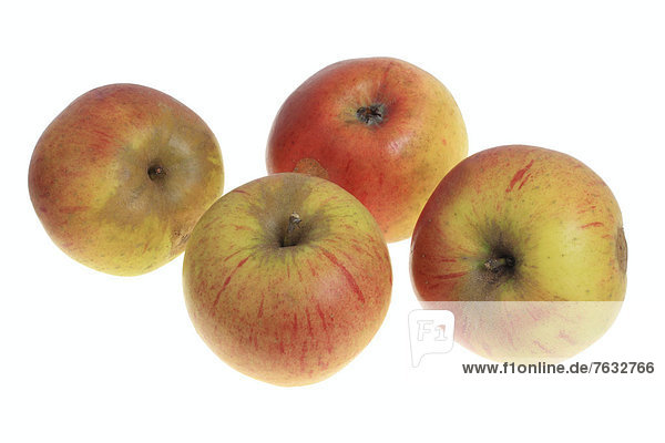 Äpfel der Apfelsorte Papelus Rambur