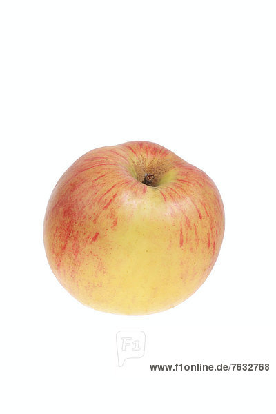 Apfel der Apfelsorte Lohrer Rambur