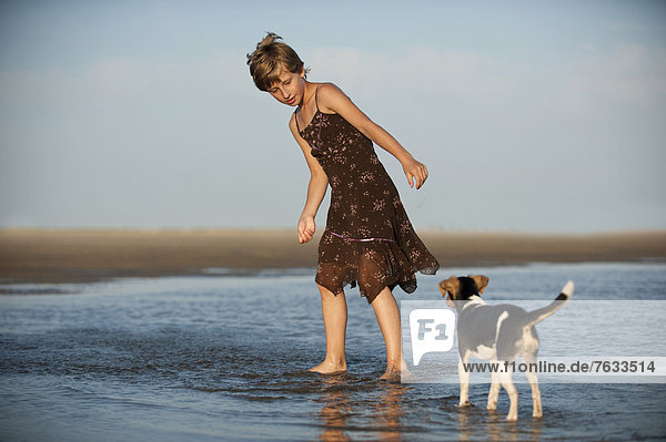 Girl playing with a Dansk-Svensk Gardshund or Danish-Swedish Farmdog on the beach