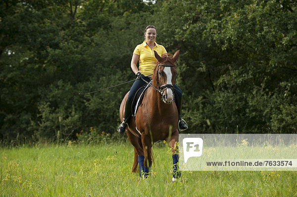 Woman riding a trotting Hanoverian horse in a meadow