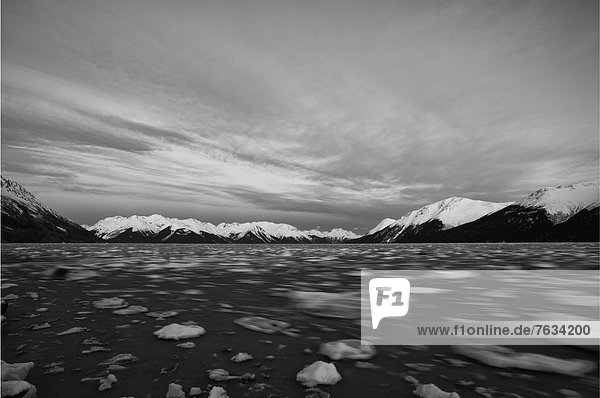 Eisschollen im Turnagain-Flußarm  Alaska