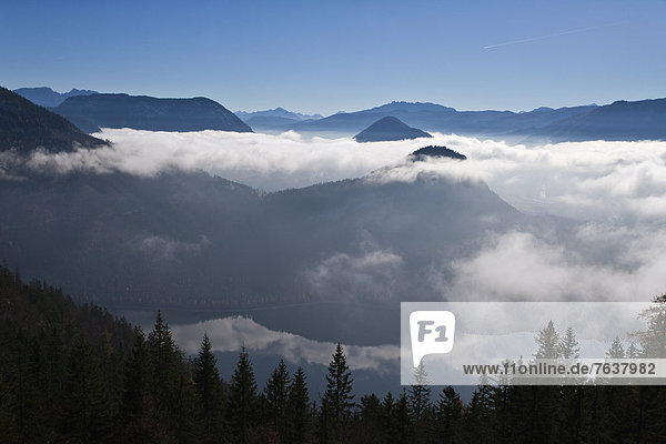 sea of fog  Auseerland  Styria  Austria  Altaussee  cloud  Dachstein  landscape  mountains  wood  forest