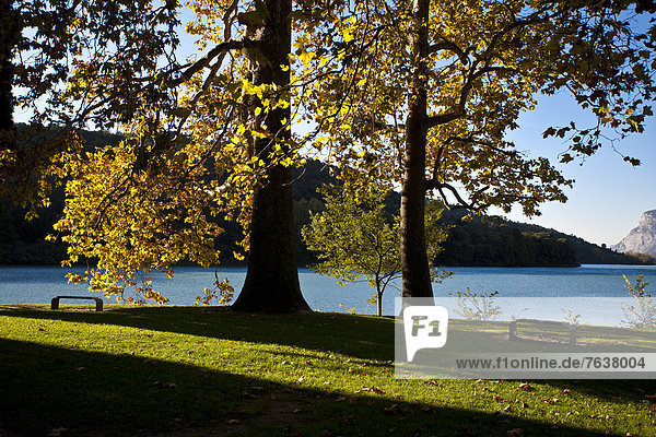 Toblinosee  lake  Trentino  Dolomites  South Tirol  Italy  Europe  mood  autumn  park  trees