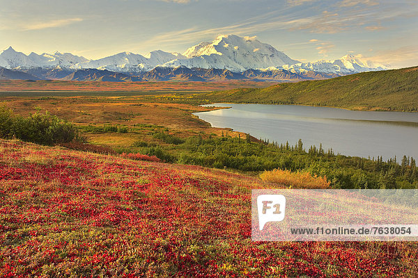Vereinigte Staaten von Amerika USA Nationalpark Farbaufnahme Farbe Außenaufnahme Landschaftlich schön landschaftlich reizvoll Berg Tag Amerika Landschaft niemand Tal Natur ungestüm Herbst Denali Nationalpark Alaska freie Natur Tundra