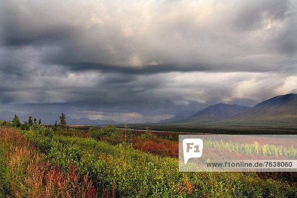 Vereinigte Staaten von Amerika  USA  Nationalpark  Farbaufnahme  Farbe  Außenaufnahme  Landschaftlich schön  landschaftlich reizvoll  Berg  Tag  Amerika  Wolke  Landschaft  niemand  dramatisch  Natur  ungestüm  Herbst  Denali Nationalpark  Alaska  freie Natur  Tundra