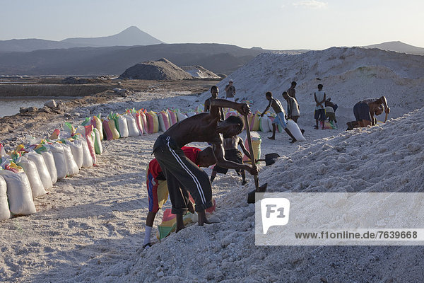 Salt production  saltwork  Afrera  lake  Africa  salt  Ethiopia  worker  bags