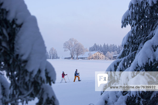 Schneeschuh Frau Winter Mann gehen wandern Schnee Wintersport