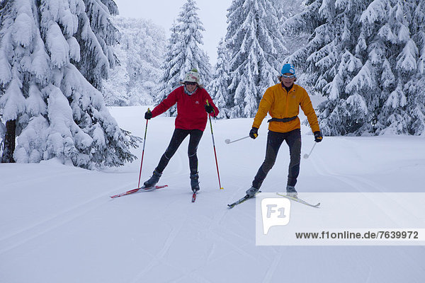 cross-country  ski  Jura  winter  canton  JU  Jura  cross-country  ski  winter sports  wood  forest  Switzerland  Europe  group