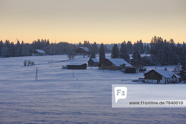 Europa Winter Bauernhof Hof Höfe Dorf Schnee Schweiz Morgenstimmung