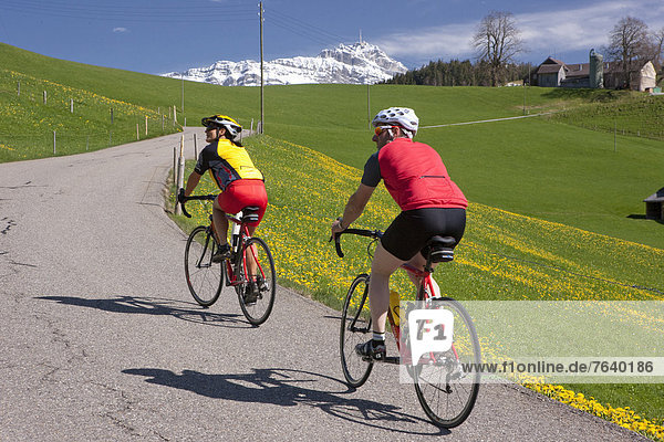 Cyclist  biker  Toggenburg  spring  bicycle  bicycles  bike  riding a bicycle  canton  SG  St. Gallen  Churfirsten  racing bicycle  Switzerland  Europe  spring  couple  man  woman  Wattwil