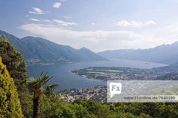 View  Lago Maggiore  Locarno  Ascona  canton  TI  Ticino  South Switzerland  lake  lakes  Switzerland  Europe