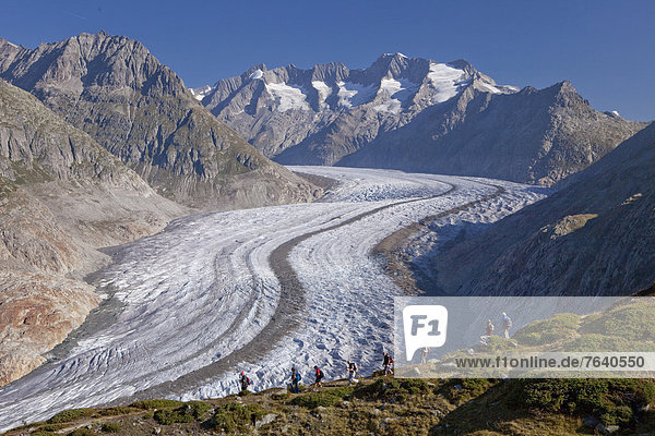 Europa gehen Tagesausflug Eis wandern Moräne Schweiz trekking Aletschgletscher