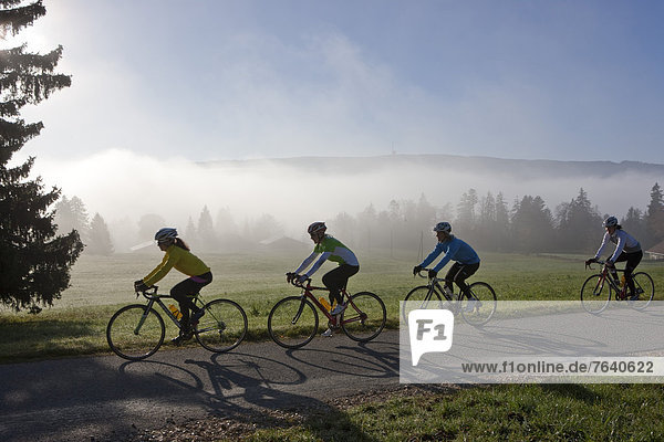 Frau Sport Fahrradfahrer Fahrrad Rad Landwirtschaft Nebel Herbst Nebelmeer Fahrrad fahren