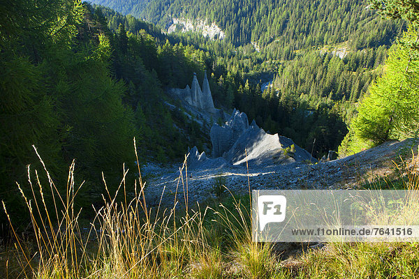 pyramidenförmig Pyramide Pyramiden Europa Wald Holz Kanton Graubünden Engadin Erosion Schweiz Unterengadin
