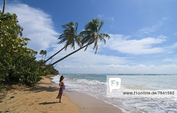 Wasser  Frau  Strand  Mensch  Küste  Meer  weiblich - Mensch  Karibik  Puerto Rico  Sandstrand  Antillen  Große Antillen  Palmenstrand