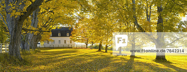 Vereinigte Staaten von Amerika USA Hochformat Panorama Farbaufnahme Farbe Ostküste Amerika Dorf Herbst Nordamerika Neuengland Laub New Hampshire