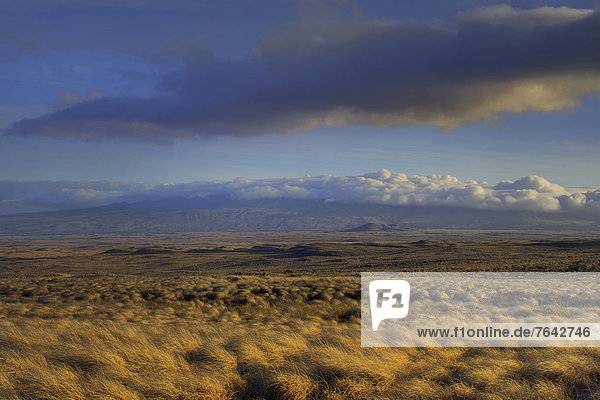 USA United States America Hawaii Big Island Mountain Clouds Sky grassland mountains