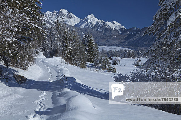 Spur leer Europa Berg Winter Urlaub ruhen Ruhe Himmel Wald weiß Holz Stille blau Winterurlaub Österreich Rest Überrest Schnee Tirol Weg