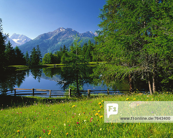 Blumenwiese,Panorama,Wasser,Europa,Berg,Urlaub,ruhen,Blume,Ruhe