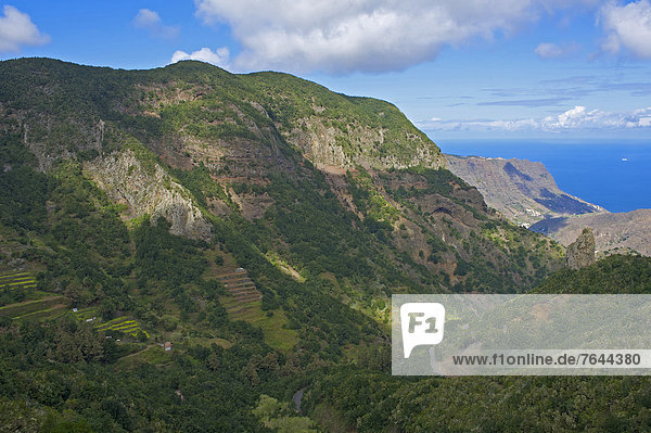 Canaries  Europe  Canary islands  La Gomera  Spain  outside  day  nobody  mountain landscape  mountain landscapes  mountain  mountains  mountainous  scenery  nature