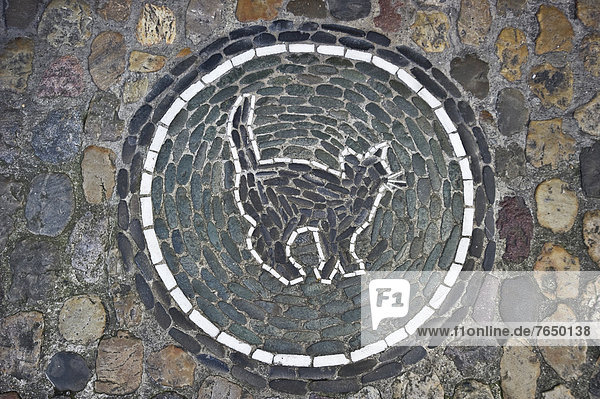 Katze  Steinmosaik vor einer Tierhandlung  Freiburg im Breisgau  Baden-Württemberg  Deutschland  Europa