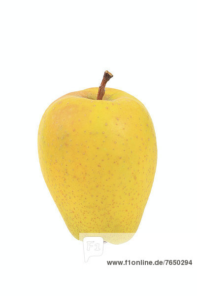 Apple  Zitronenapfel variety